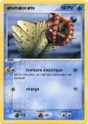 anomalocaris