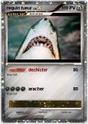 requin tueur requin tueur