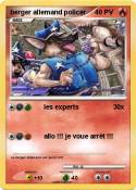 berger allemand