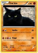 Chat Noir