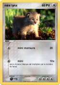 mini lynx