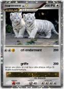 roarrrrrrrrr