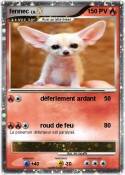 fennec fennec
