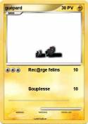 guépard