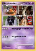 chien de