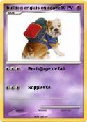 bulldog anglais