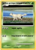 griffon arctique briquet mix griffon