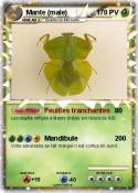 Mante (male)