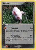 Cochon