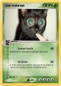 chat stafaraye