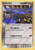 Arme a feu