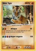 Bébé Tigre