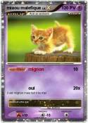miaou malefique