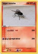 super mouche