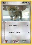 chaton 