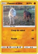 Flamme et Ulma