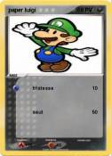 paper luigi