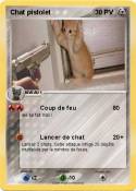 Chat pistolet