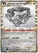 sarkozi le