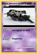 dogue allemand
