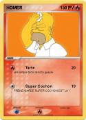 HOMER