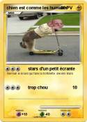 chien est comme les humains chien est comme