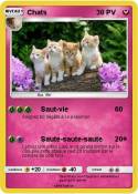Chats Chats