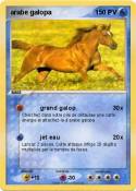arabe galopa