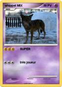 whippet MIX