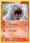 Tigre bébé de