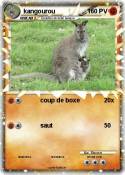 kangourou