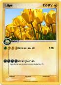 tulipe
