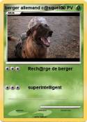 berger allemand