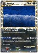 la neige