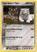Tigre Blanc +