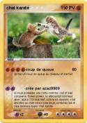 chat karaté