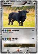 taureau