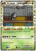 Tit oiseau