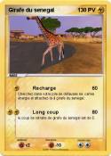 Girafe du