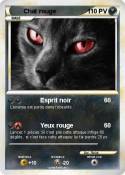 Chat rouge