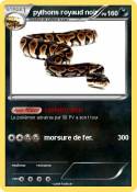 pythons royaud
