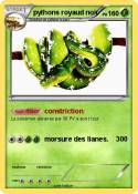 pythons royaud