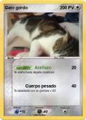 Gato gordo
