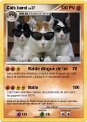 Cats band