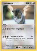 chatonange