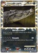 Crocodile marin