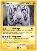 tigress