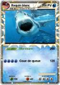 Requin blanc