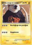 welsh corgi en