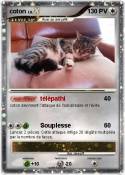 coton